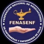 Federación Nacional de Enfermeros y Enfermeras de Chile