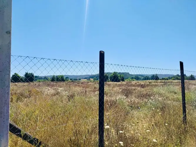 Imagen de Vendemos hermosa Parcela en Freire