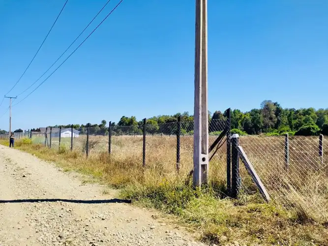 Imagen de Vendemos hermosa Parcela en Freire
