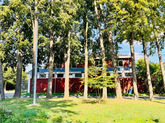 Imagen de En Venta Casa esquina en Parque Nacional Huerquehue