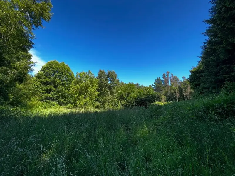 Imagen de Parcelas en Sector Pelales, Maquehue