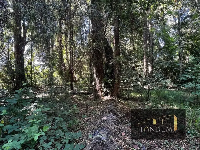 Imagen de Parcelas en Sector Pelales, Maquehue