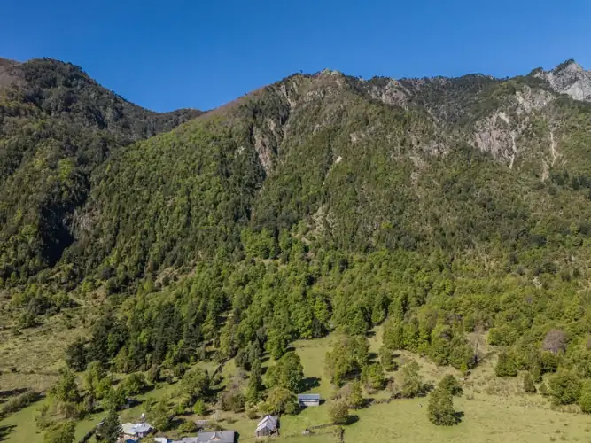 Imagen de Hermoso Campo, Sector Alpehue, a 8km. de Melipeuco