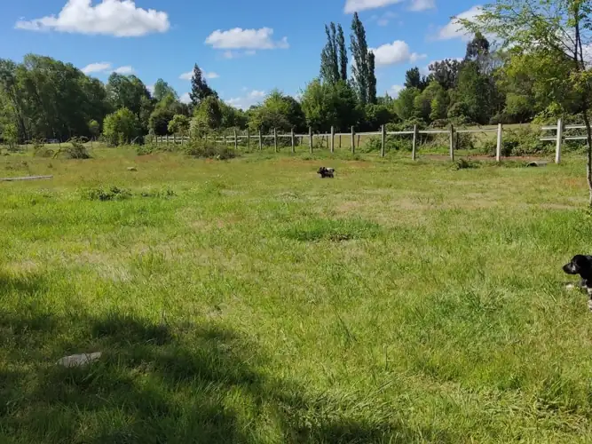 Imagen de Parcela con Casa en Victoria