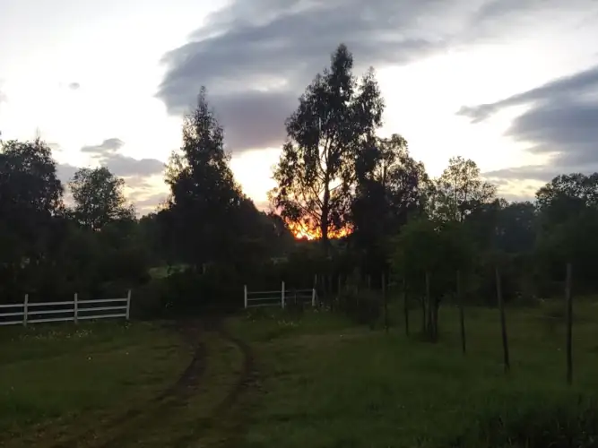 Imagen de Parcela con Casa en Victoria