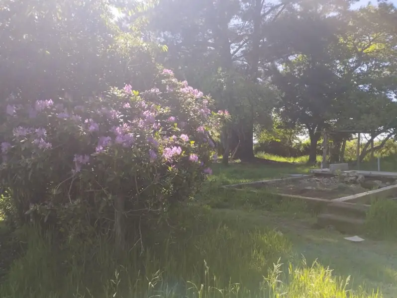 Imagen de Vendemos parcela en Sector Millahuín Bajo