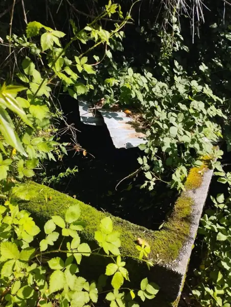 Imagen de Vendemos parcela en Sector Millahuín Bajo