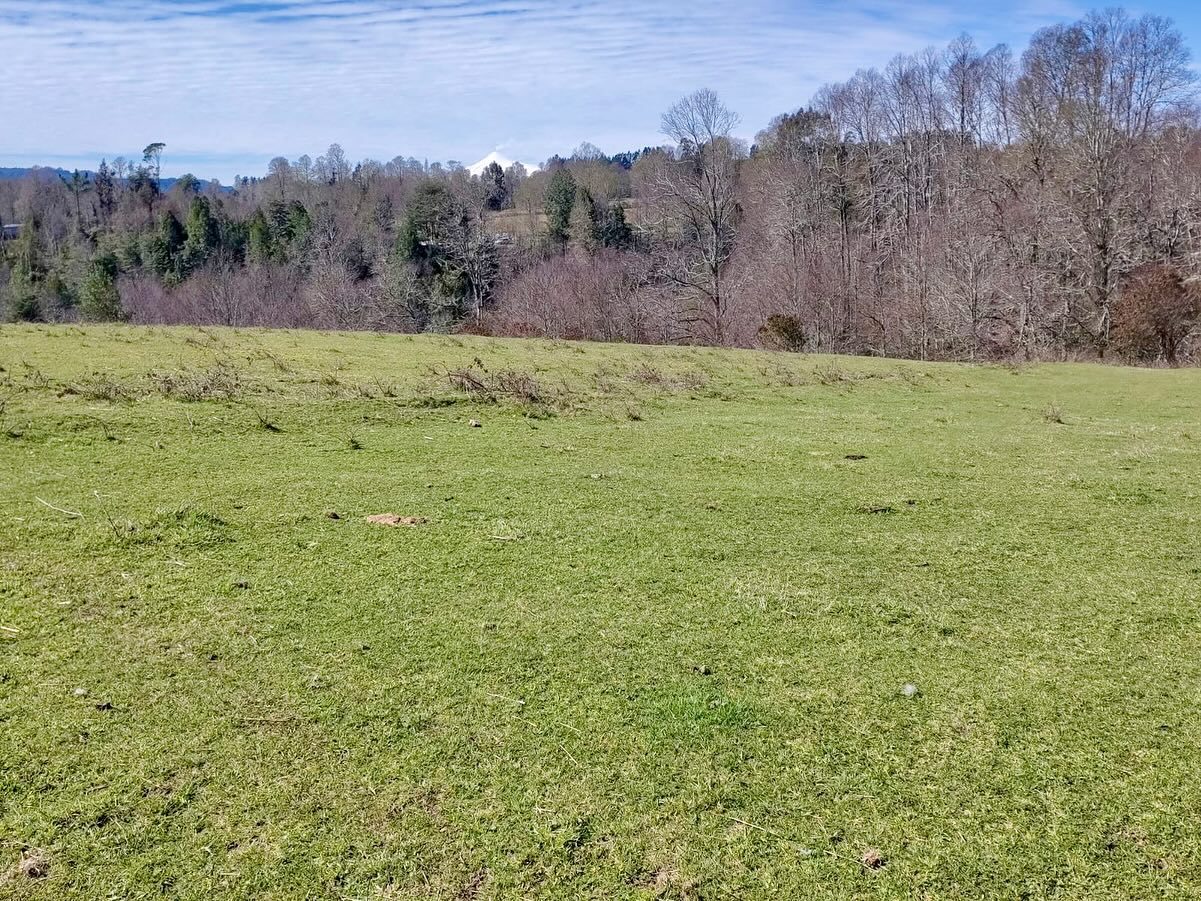 Imagen de Terreno en Sector los Tallos Altos