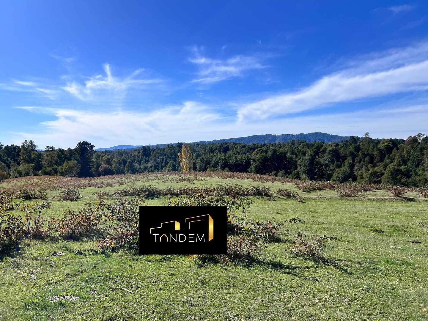 Imagen de Terreno en Sector los Tallos Altos