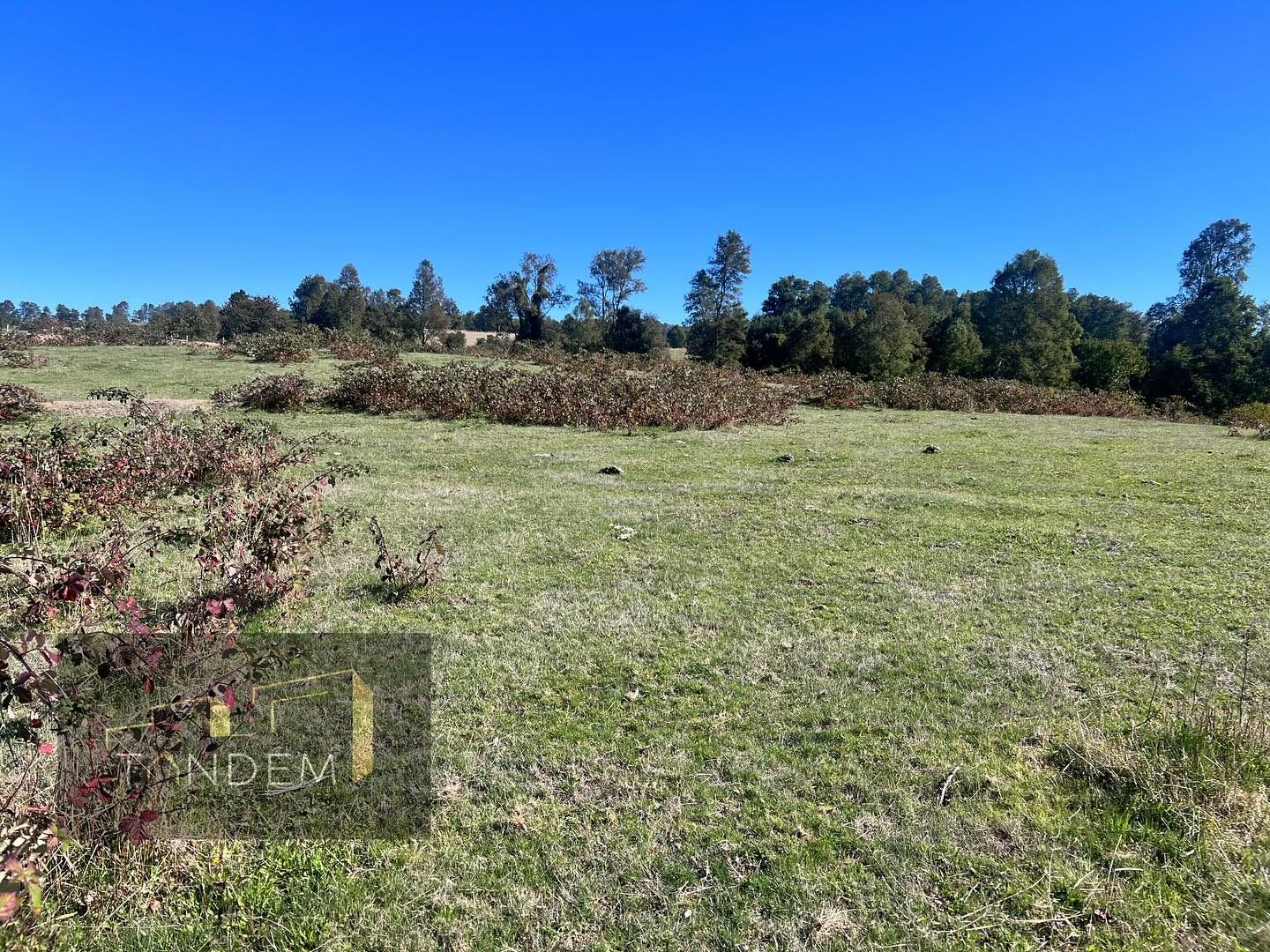 Imagen de Terreno en Sector los Tallos Altos
