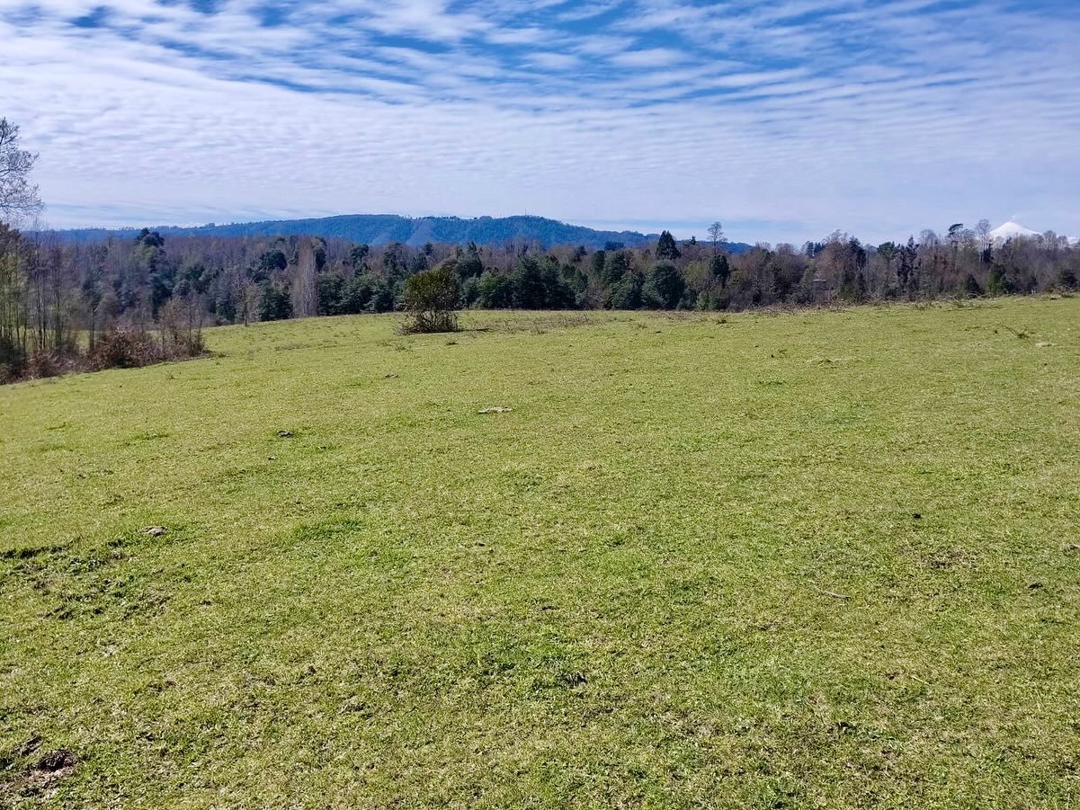 Imagen de Terreno en Sector los Tallos Altos