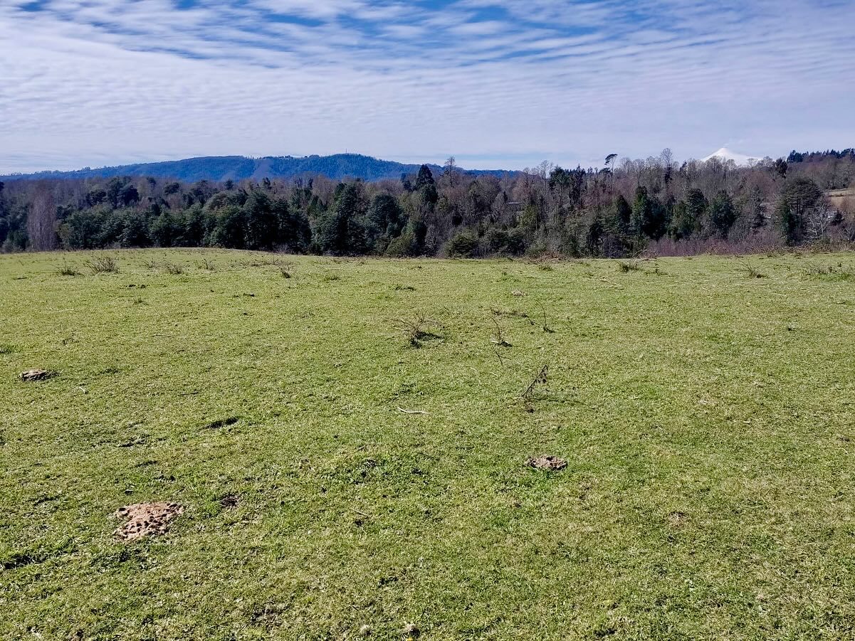 Imagen de Terreno en Sector los Tallos Altos