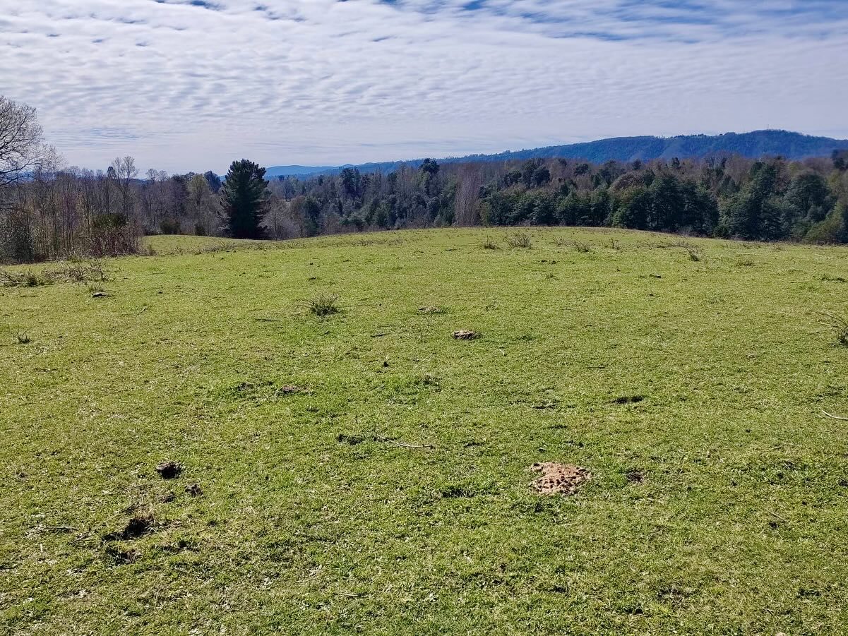 Imagen de Terreno en Sector los Tallos Altos