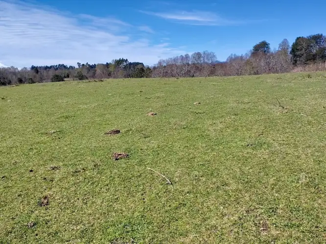Imagen de Terreno en Sector los Tallos Altos