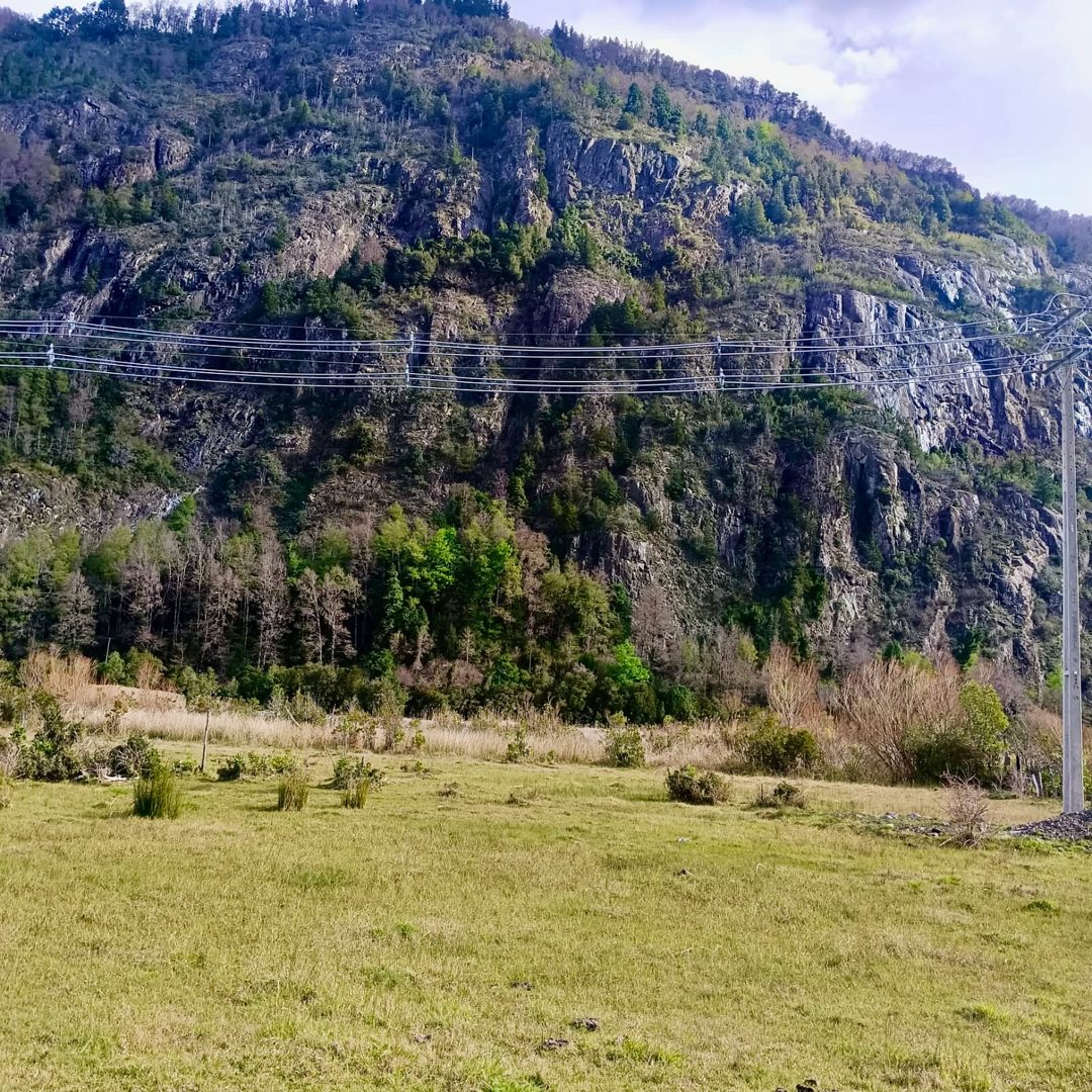 Imagen de Hermoso Campo Camino a Nevados del Sollipulli