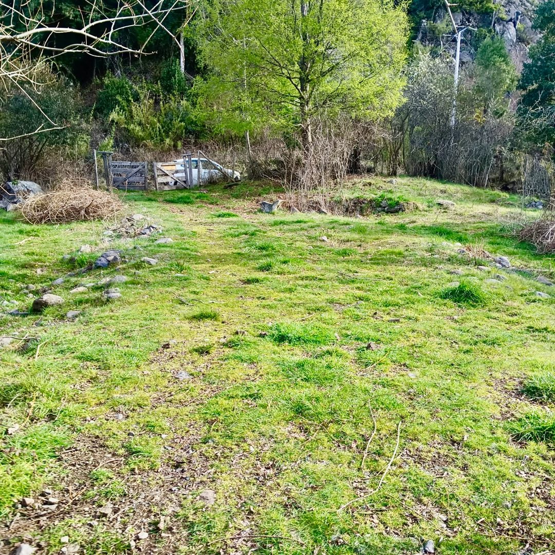 Imagen de Hermoso Campo Camino a Nevados del Sollipulli