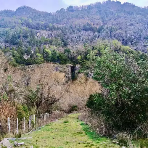 Hermoso Campo Camino a Nevados del Sollipulli