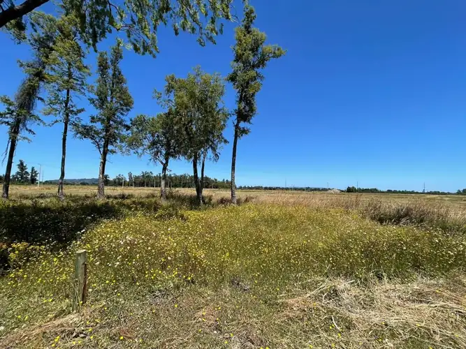 Imagen de Parcela en Parque de Suevia