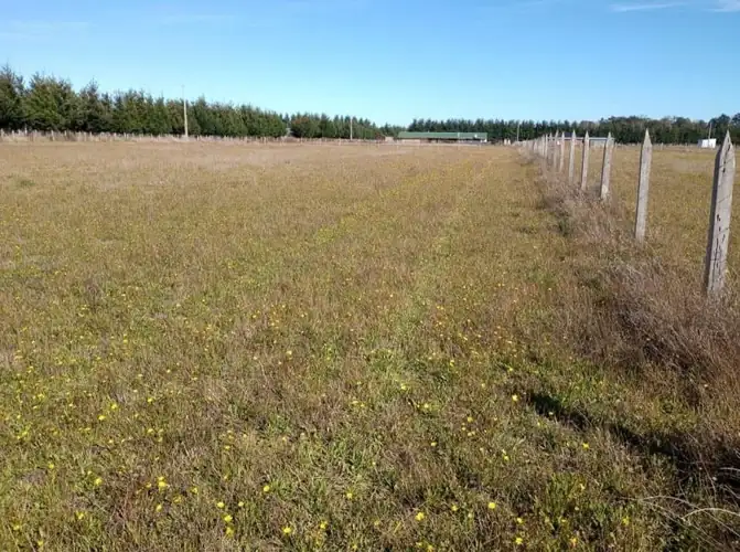 Imagen de Parcela en Condominio, Comuna de Freire, Sector 9 de Julio
