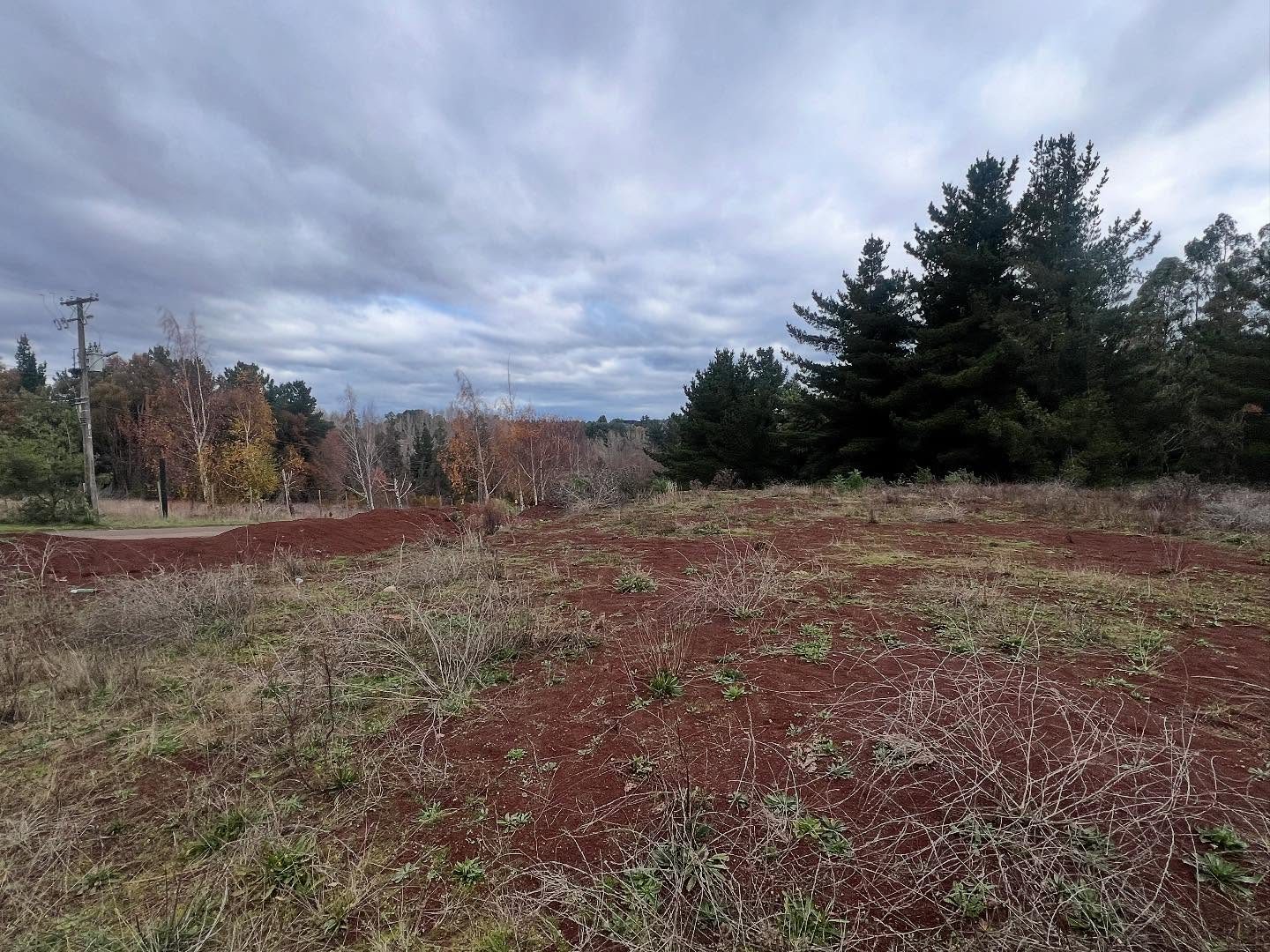 Imagen de Parcela en Lomas del Carmen