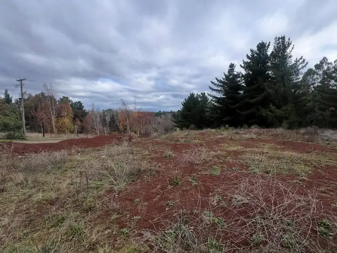Imagen de Parcela en Lomas del Carmen
